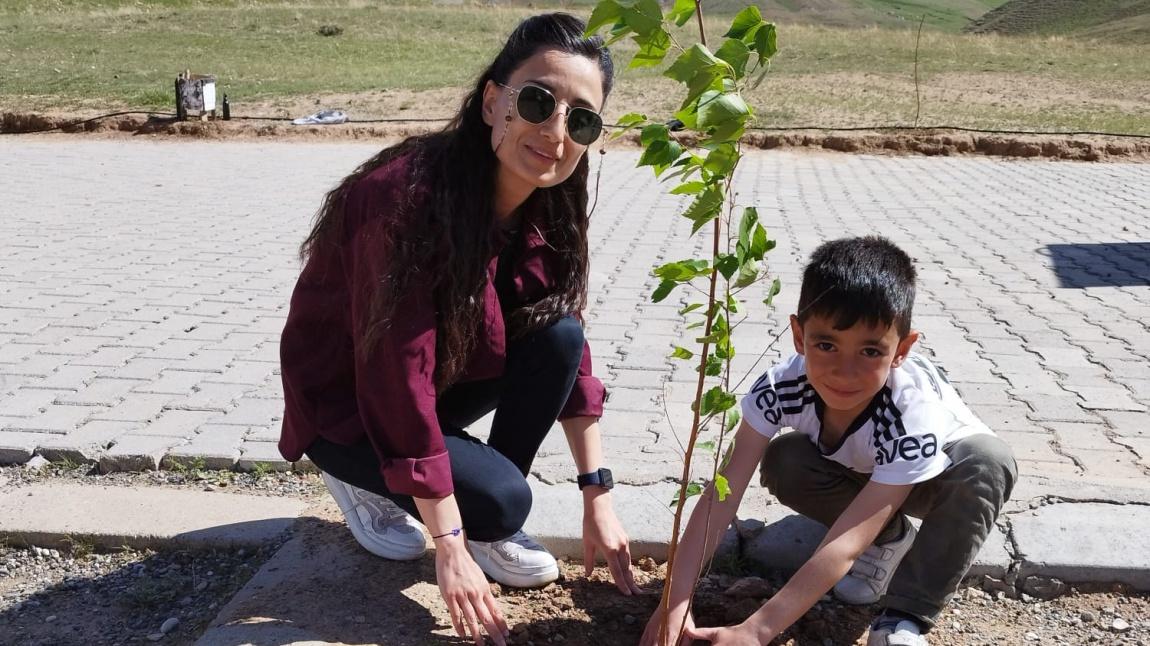 YAYLACIK ORTAOKULU YEŞİLLENİYOR